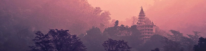Ellen Elizabeth's header image