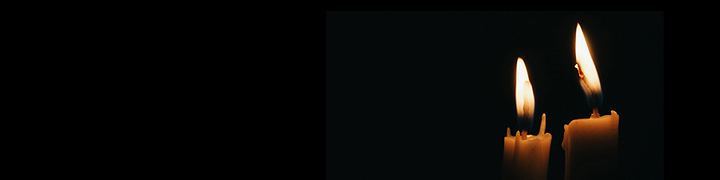 Malini's header image