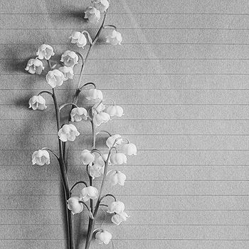 Leo's profile picture