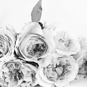 Anbu's profile picture