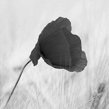 Chidambaram's profile picture