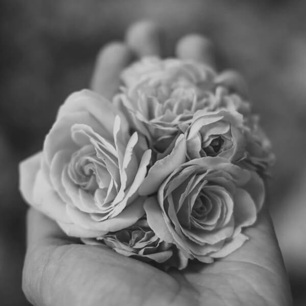 Mr. Malcolm Beames (Mac)