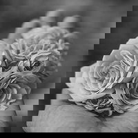 Alok Kumar – Profile Picture