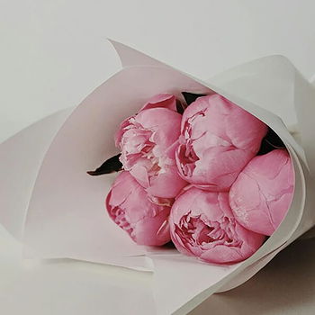 விநாயகமூர்த்தி's profile picture