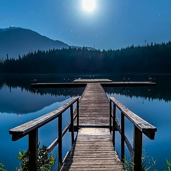 திரு இலங்கை நாதன் சின்னத்தம்பி's profile picture