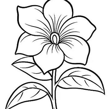 மாதினியார் இளையதம்பி ஆனந்தநடராஜாவின் (எழுத்தாளர் ஆனந்தி)