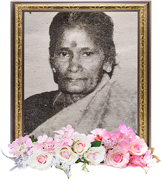 notice profile photo