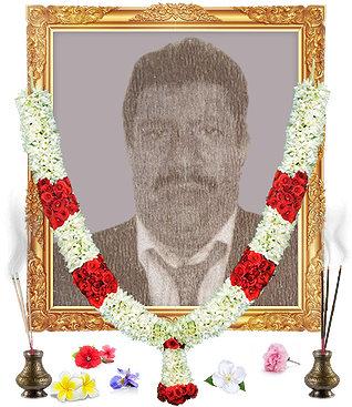 notice profile photo