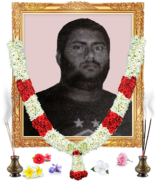 notice profile photo