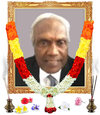 notice profile photo