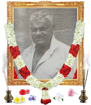 notice profile photo