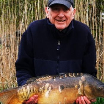 Don Terrence's profile picture