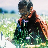 Picture of Person