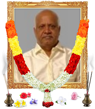 notice profile photo