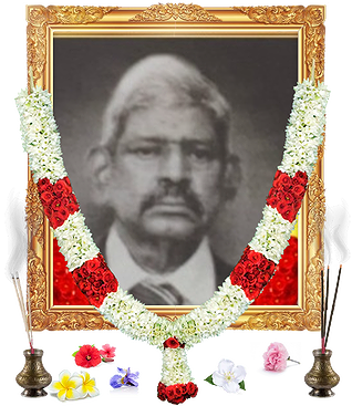 notice profile photo