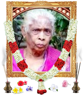 notice profile photo