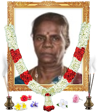 notice profile photo