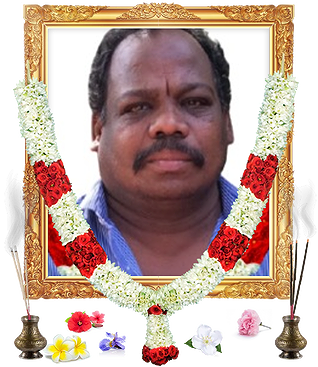 notice profile photo