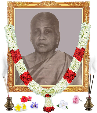 notice profile photo